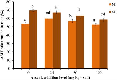 Arbuscular Mycorrhiza Augments Arsenic Tolerance in Wheat (Triticum aestivum L.) by Strengthening Antioxidant Defense System and Thiol Metabolism